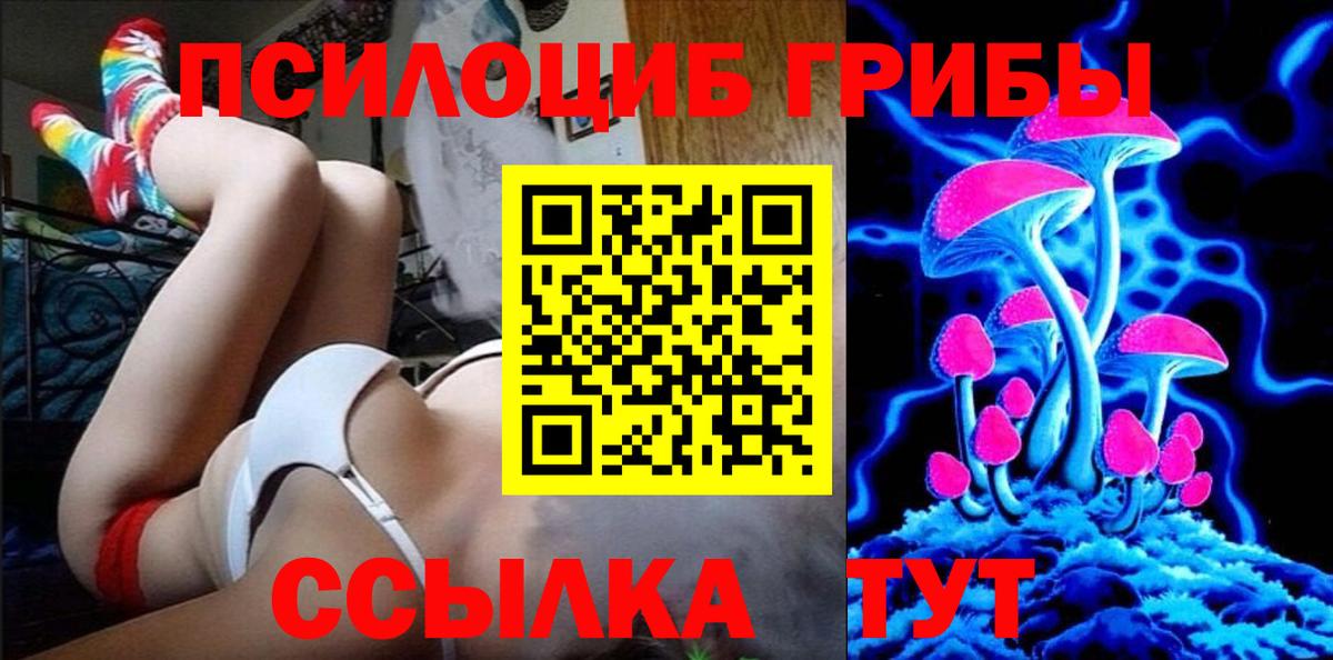 Галлюциногенные грибы Psilocybe  Псилоцибиновые грибы Psilocybine cubensis  Дедовск  Вход с VPN 